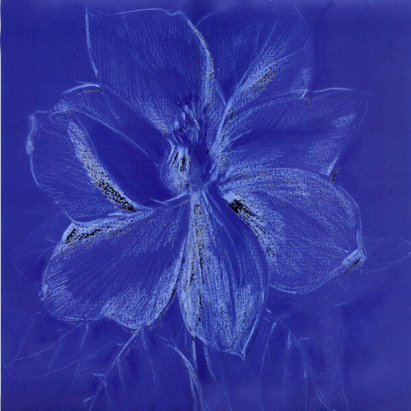 蓝色花朵油画图片