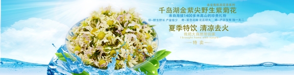 永安高山有机茶金紫尖野菊花淘宝首页大图