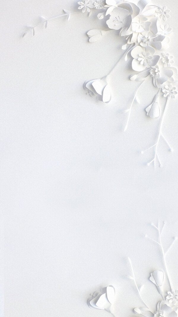浮雕白色花朵H5背景素材