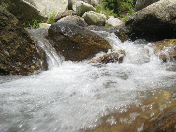 树水风景