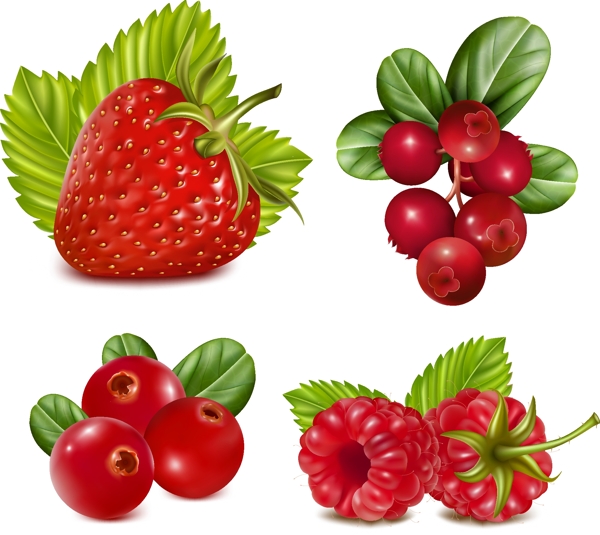 红色水果设计矢量素材