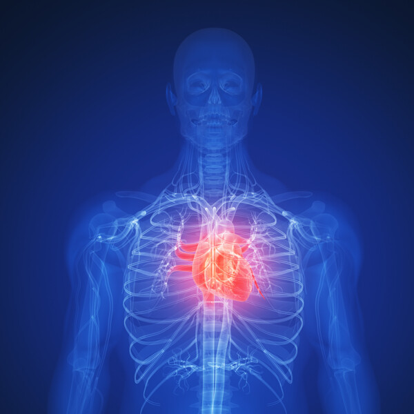 人体肺部X光透视图图片