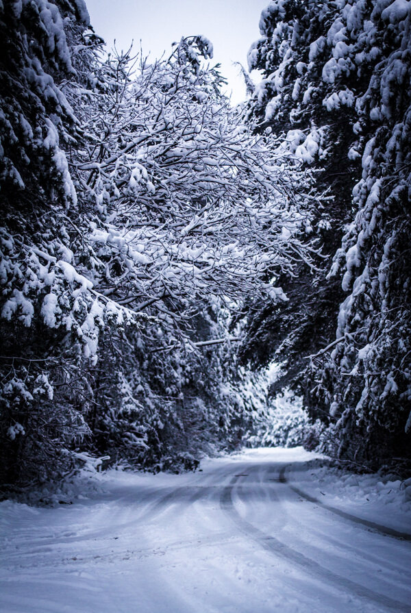 冬天公路雪景图片