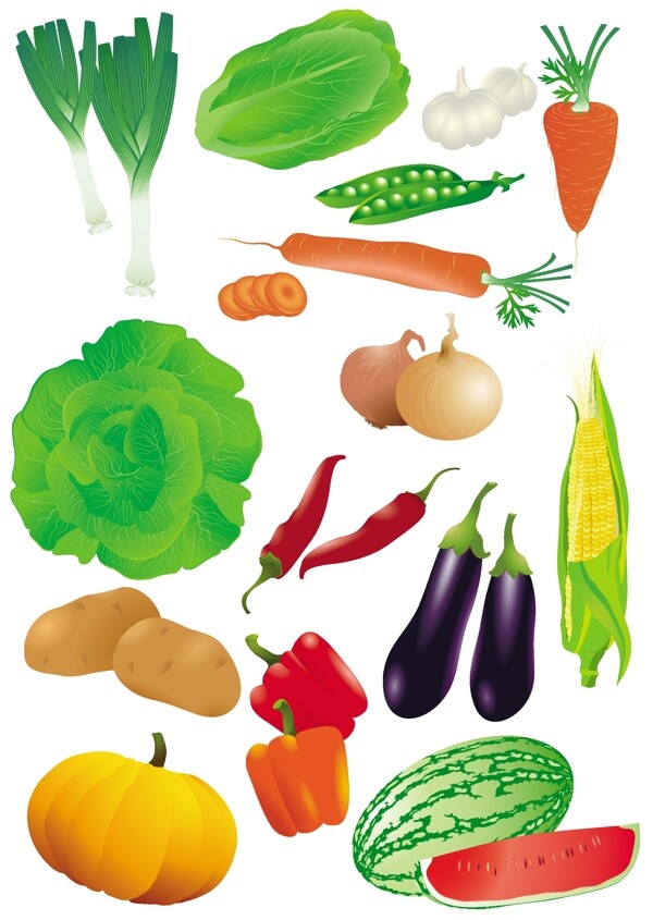 写实的蔬菜瓜果矢量素材图片