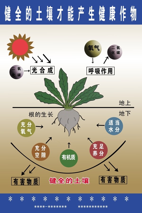 健全的土壤图片