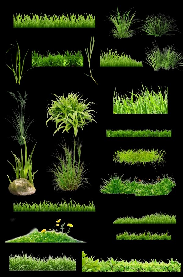 绿色草植物素材写实植物素材