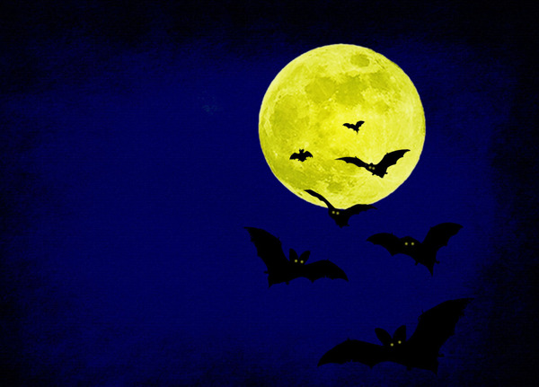 位图动物蝙蝠色彩彩色免费素材