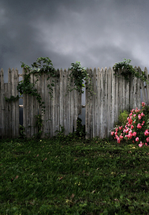 草地上的篱笆鲜花影楼摄影背景图片