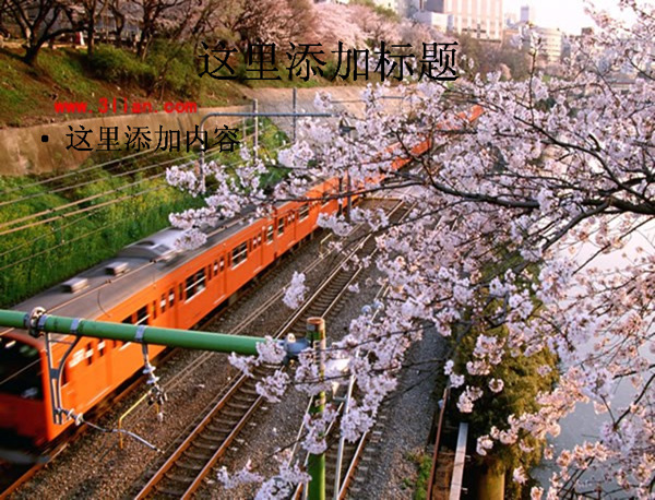 樱花铁路