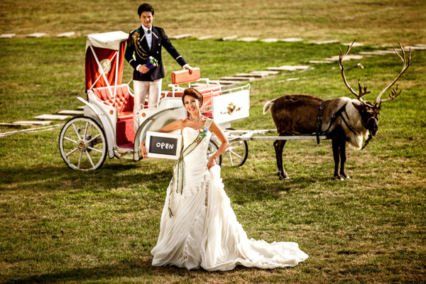 草地驾马的新人婚纱摄影图片