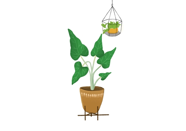 2019年清新绿色室内装饰植物插画