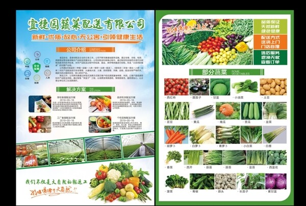 蔬菜配送单页