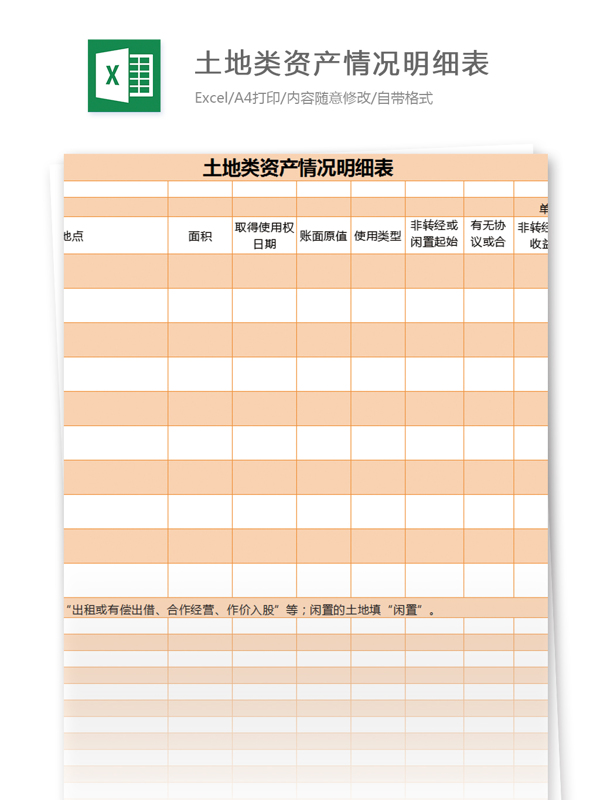 土地类资产情况明细表excel模板表格