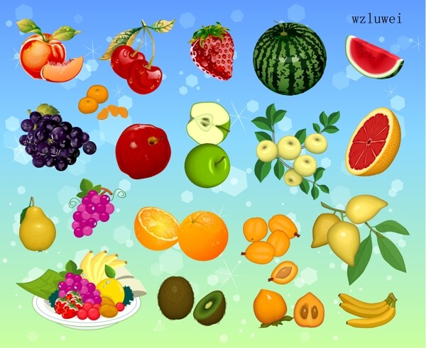 水果大集合矢量图片