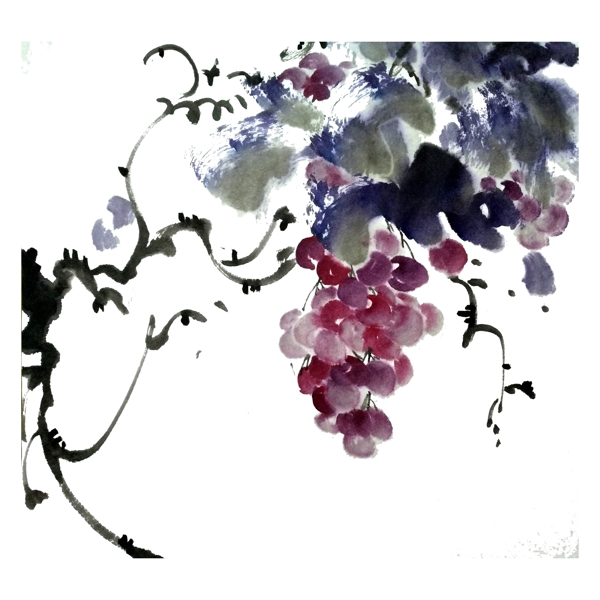 葡萄提子紫色水晶水果国画水墨PNG