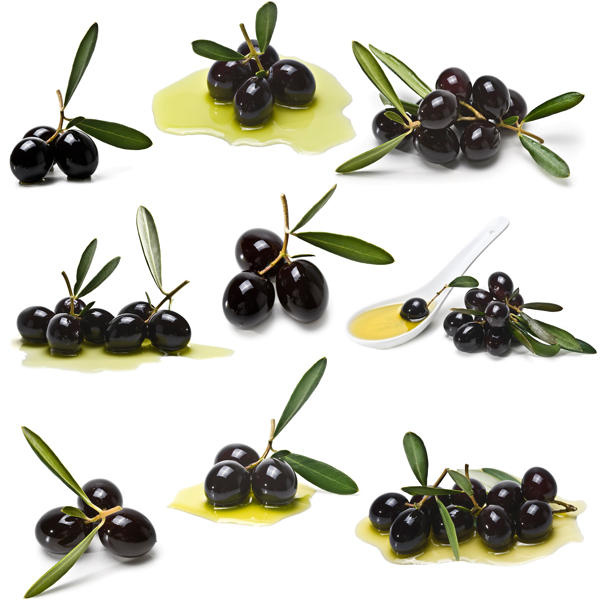 黑色橄榄果与食用油图片