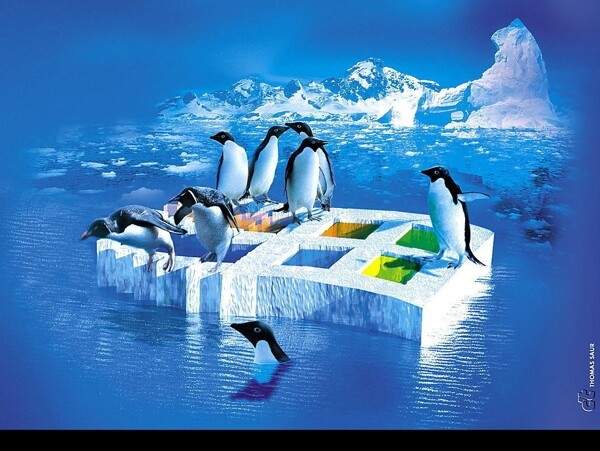 南极冰山企鹅图片
