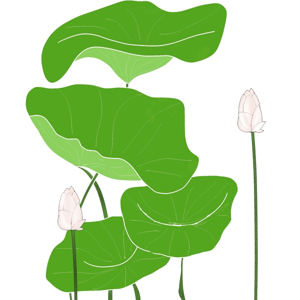 原创荷叶荷花植物手绘风简约小清新元素图