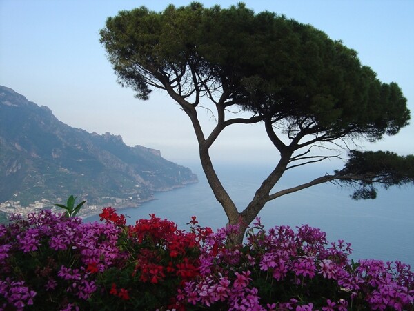 春天海边风景图片