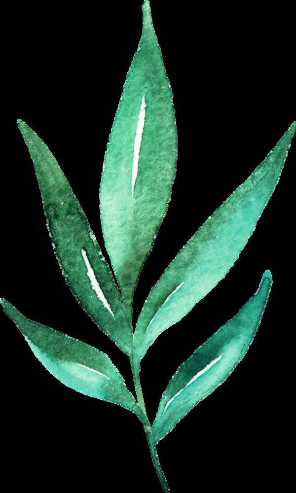 水晶绿枝叶透明素材