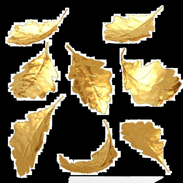 金色树叶透明素材