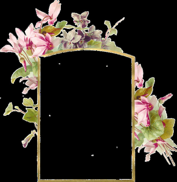 美丽花卉边框透明素材