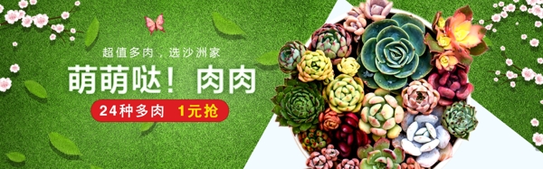 淘宝多肉植物海报banner