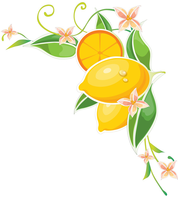 柠檬和柠檬花叶子图案图片