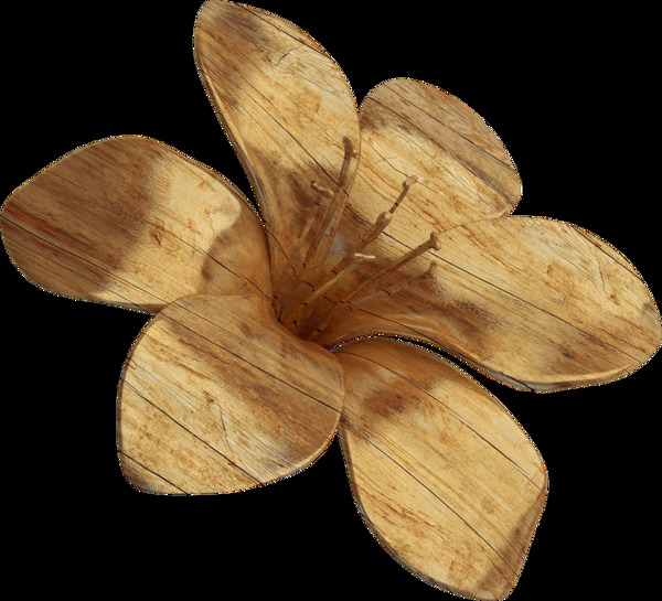 情人节木纹花朵图案元素