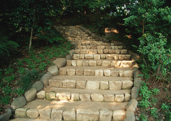 石阶梯道路风景图片