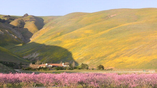 美丽高原风景图片