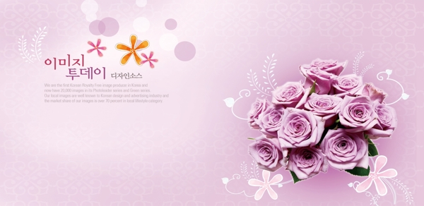韩风玫瑰图片