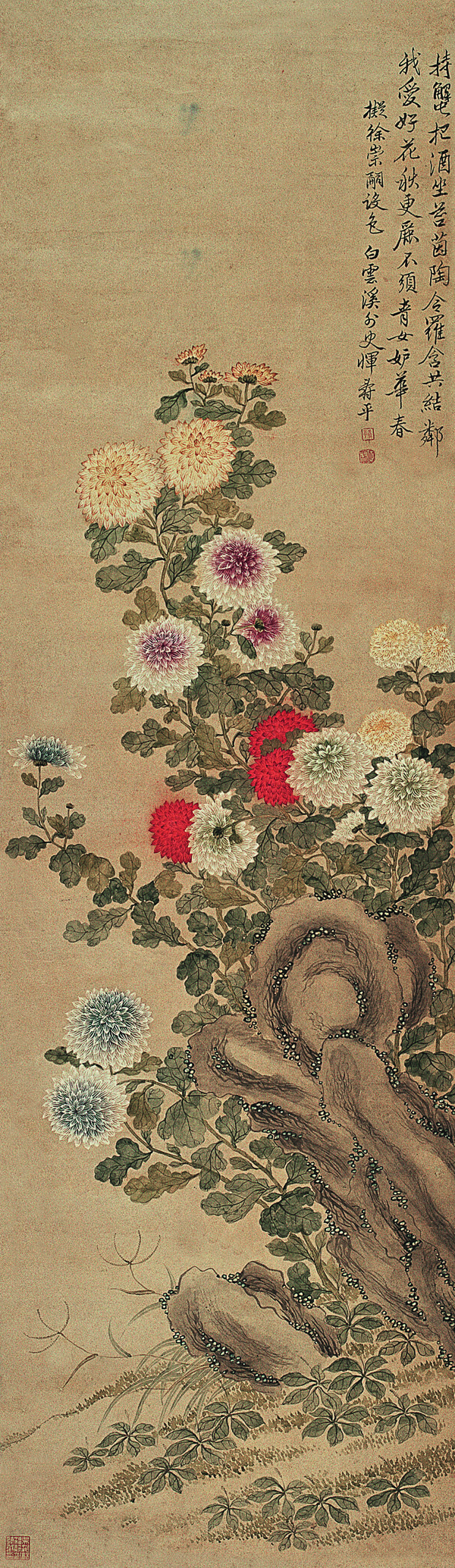 植物鲜花插画背景图片