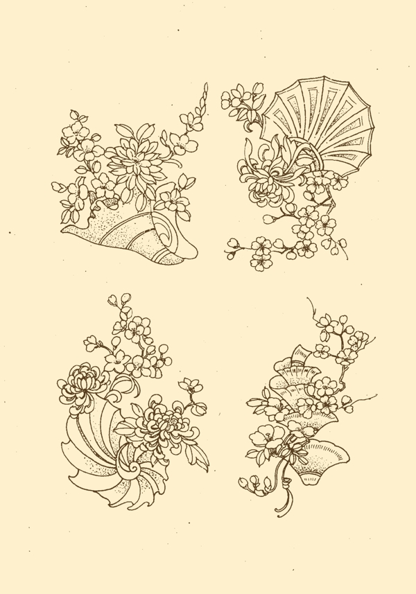 海贝花卉图片