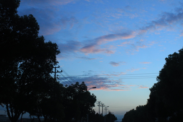 夕阳下的树木天空图片