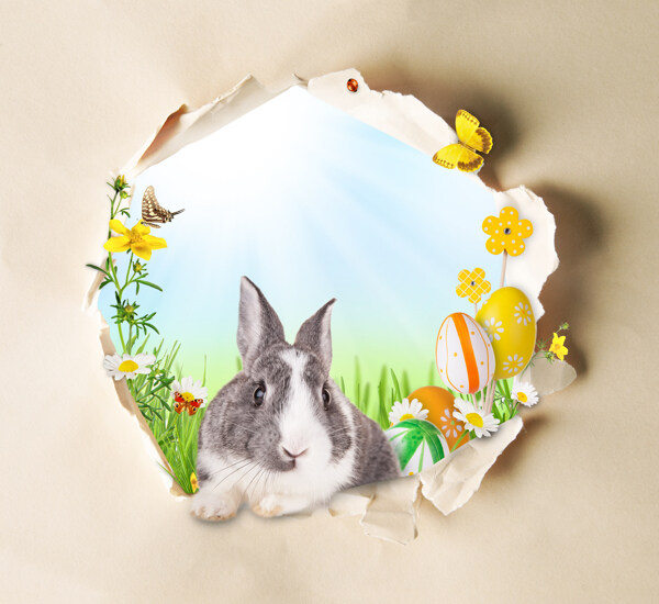 兔子与复活节彩蛋