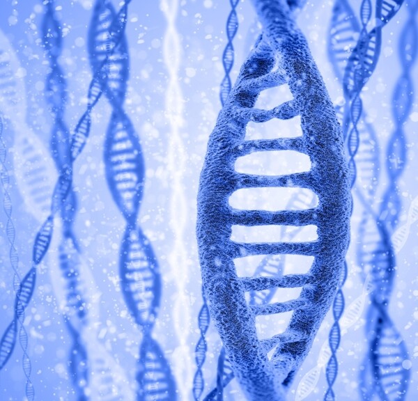 DNA基因组图片