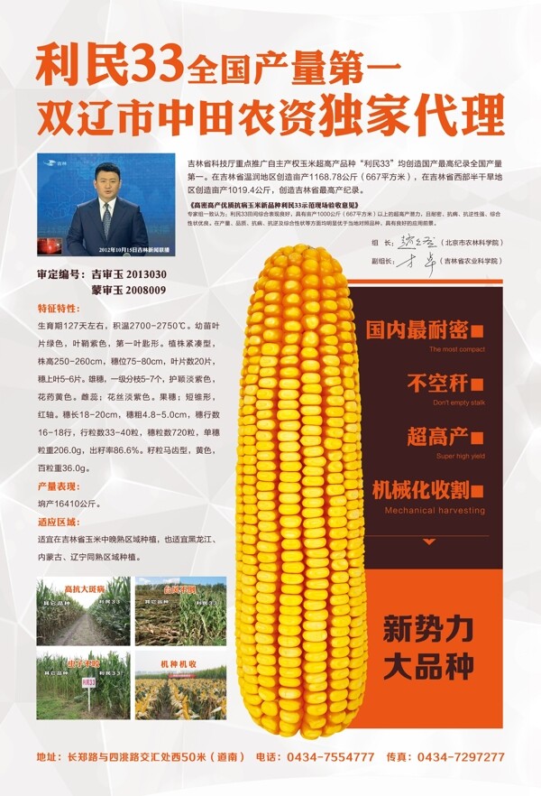 玉米宣传单页图片