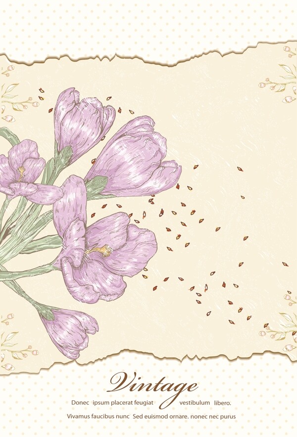 古典花纹花朵图片
