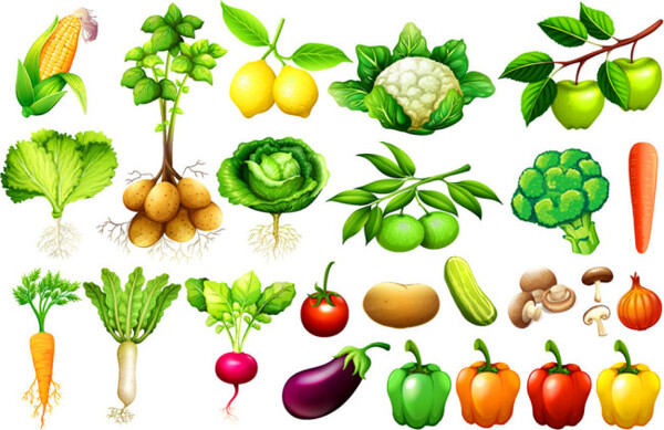 卡通蔬菜水果漫画图片