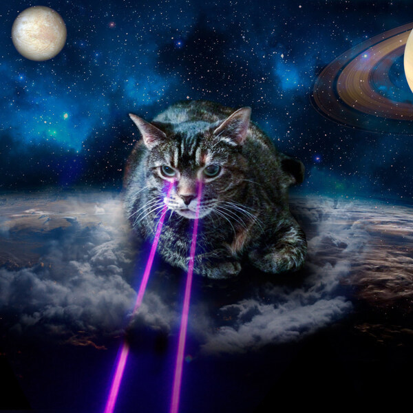科幻太空激光猫