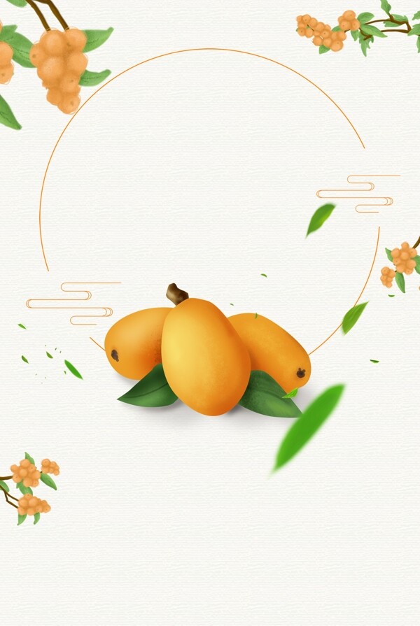 夏季水果枇杷背景