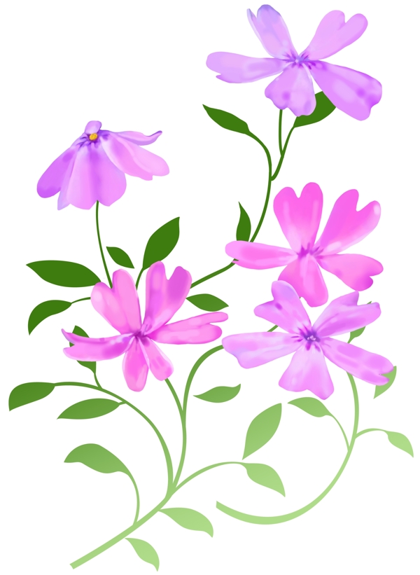 紫色星星花朵8
