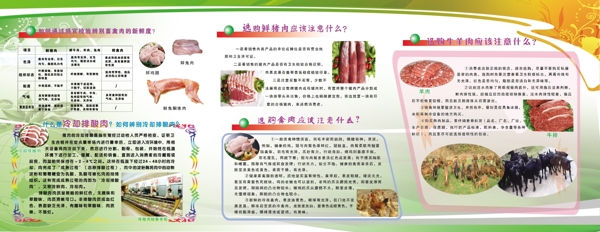 肉类食品安全管理图片