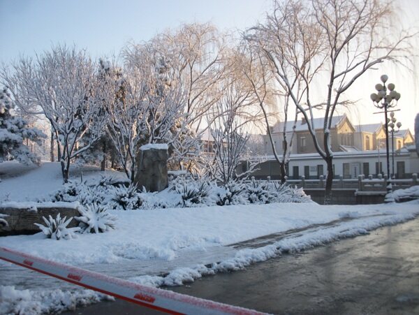 观唐小区雪景图片