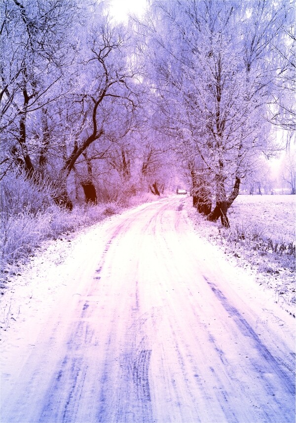 冬天公路雪景图片