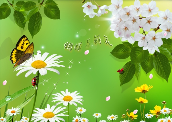 蝴蝶与花背景素材