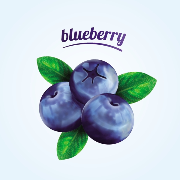 蓝莓水果ai矢量素材下载
