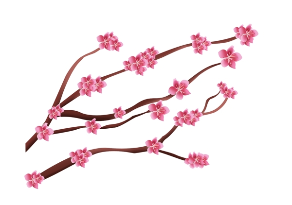 春季粉色的樱花插画