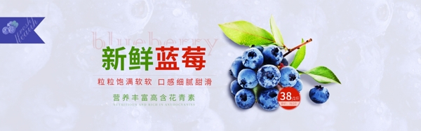 蓝莓banner